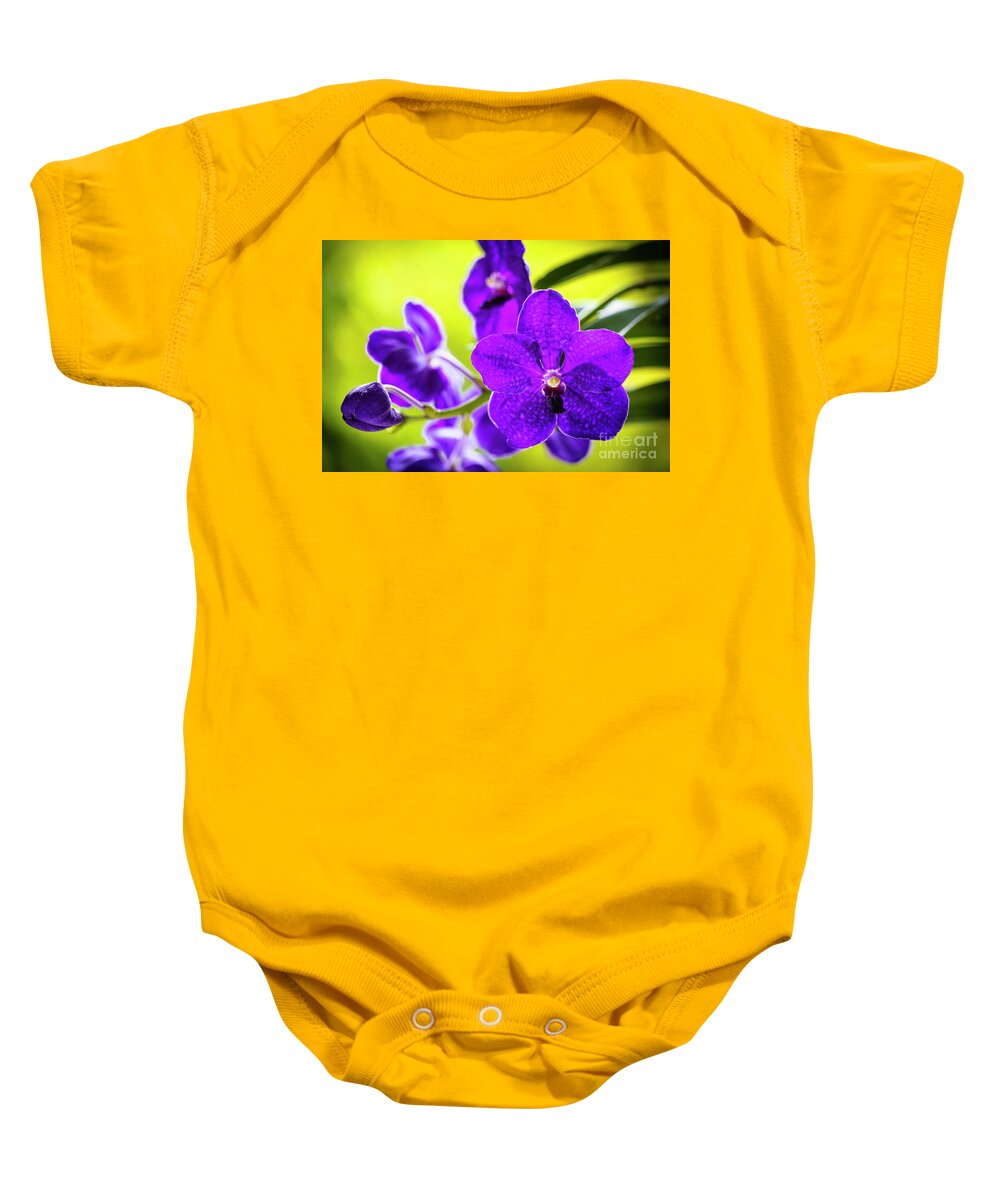 Background Baby Onesie featuring the photograph Purple Orchid Flowers #27 by Raul Rodriguez