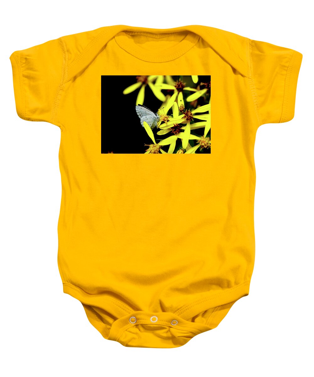 Celastrina Argiolus Baby Onesie featuring the photograph Butterfly Holly blue on yellow flower by Vaclav Sonnek