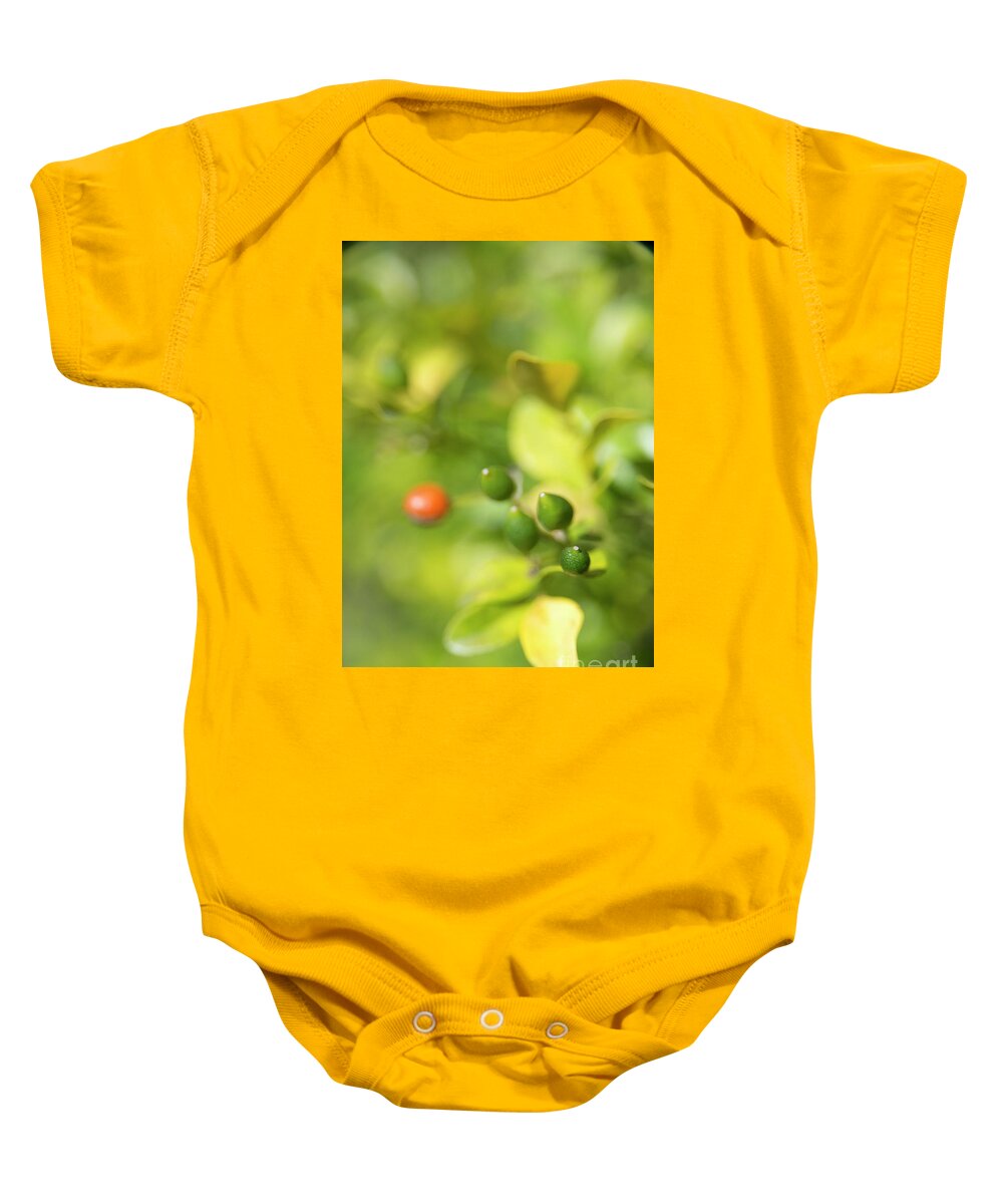 Green Baby Onesie featuring the photograph Bits and Buds by Vicki Ferrari