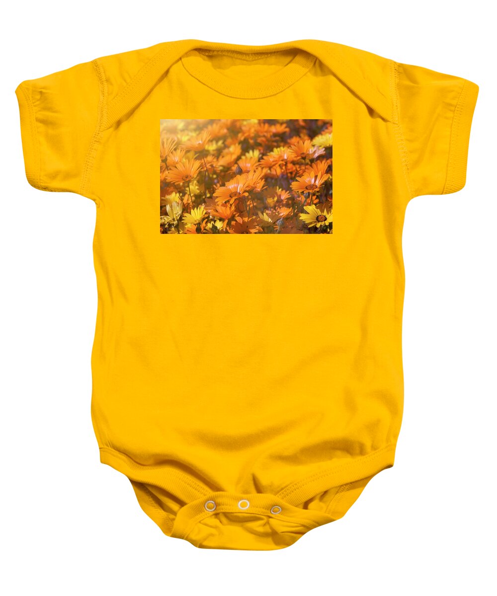 Smile Baby Onesie featuring the photograph All It Takes Is A Smile by Lucinda Walter