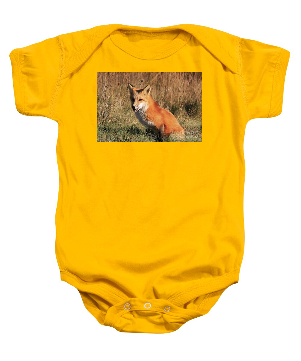 Canada Baby Onesie featuring the photograph Brown Eyes by Mary Mikawoz