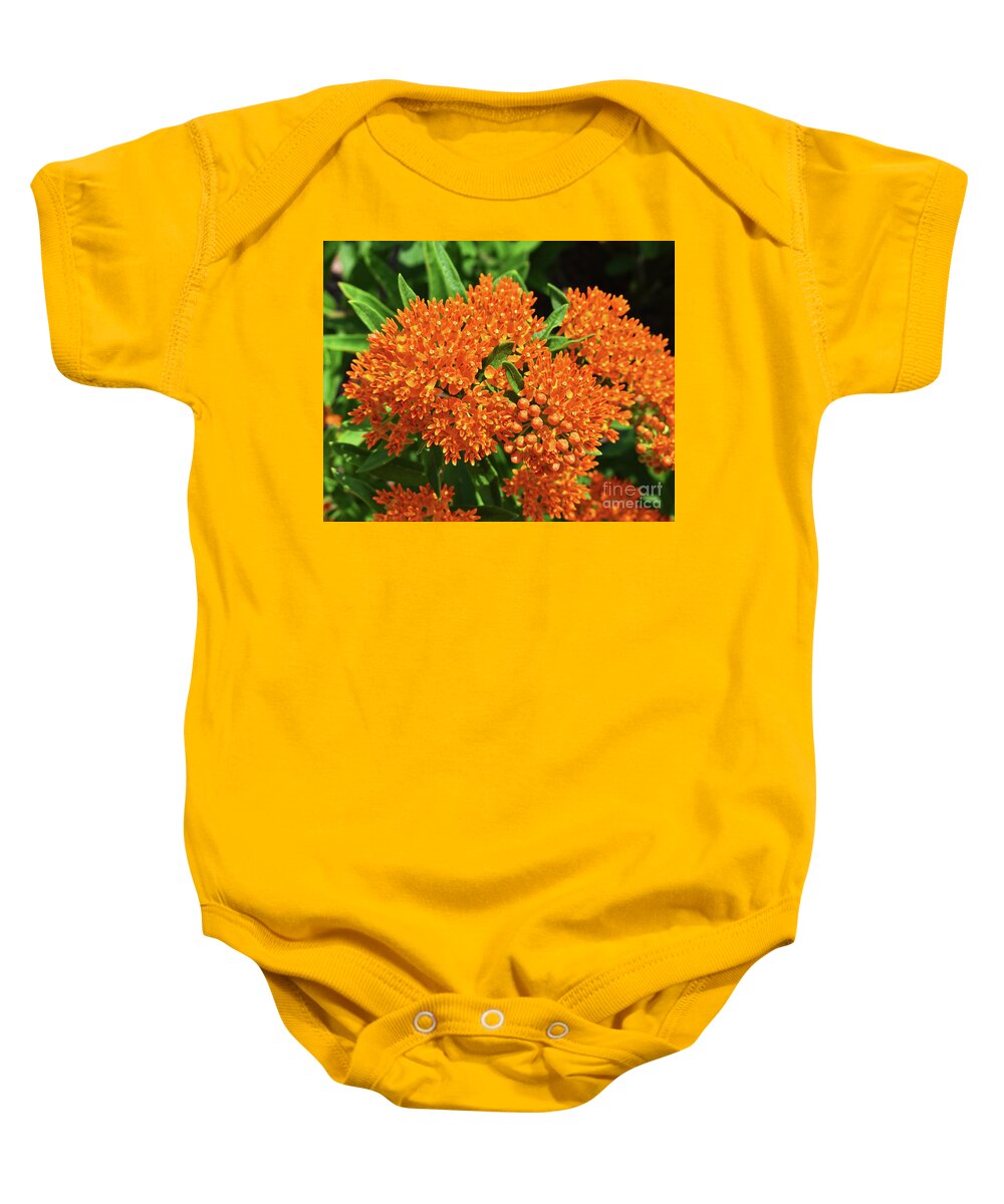 Foliage Baby Onesie featuring the photograph Butterfly Attraction by Linda Brittain