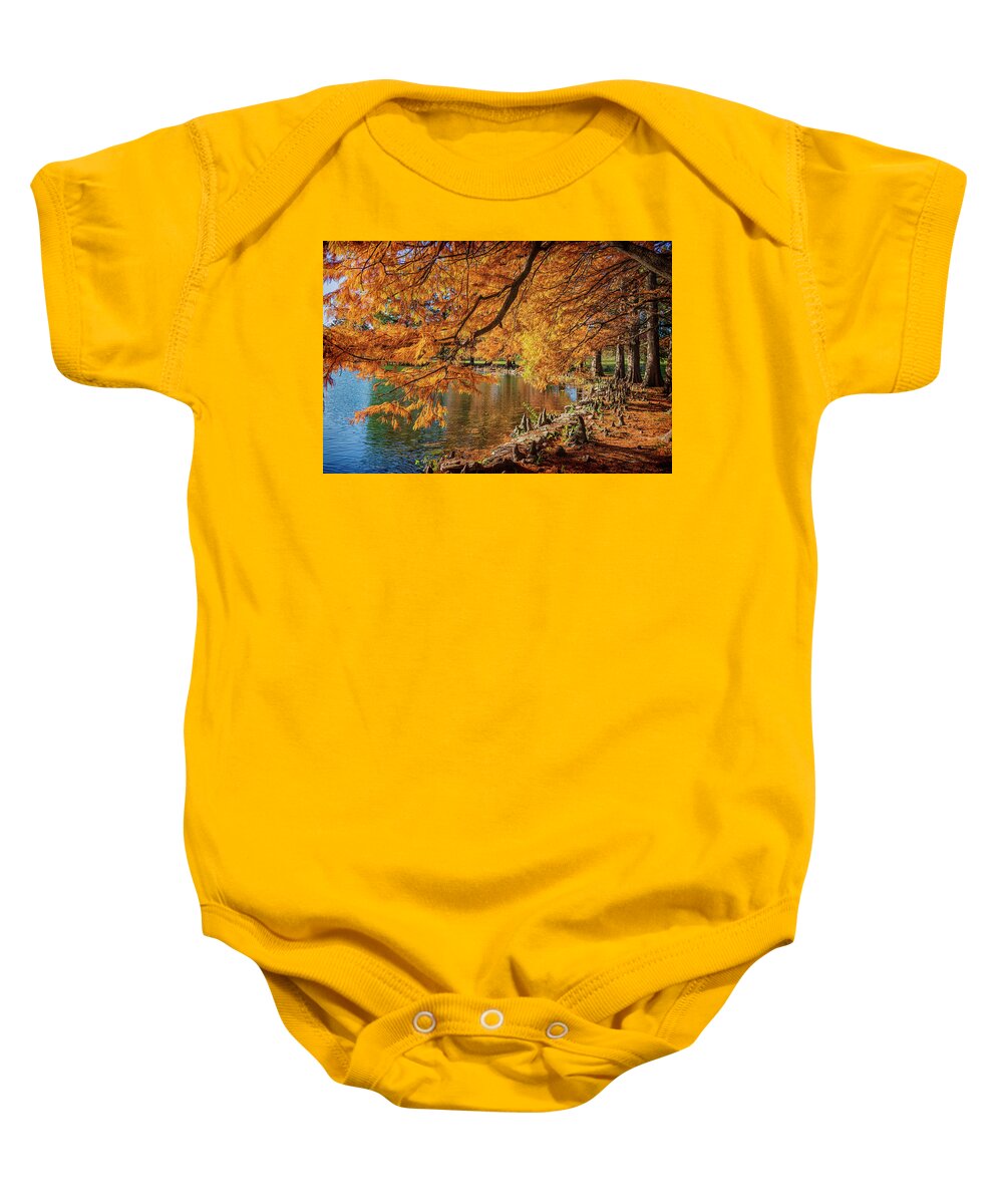 Cypress Trees Baby Onesie featuring the photograph Cypress Trees at Forest Park St Louis MO GRK4558_11012020 by Greg Kluempers