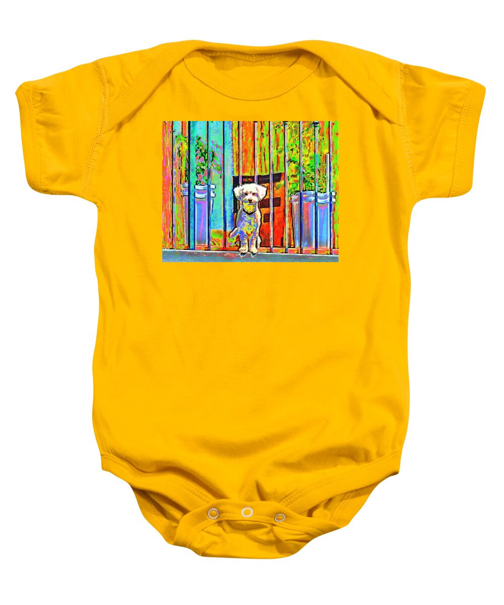 Dog Baby Onesie featuring the photograph Dog Seeing You by Andrew Lawrence
