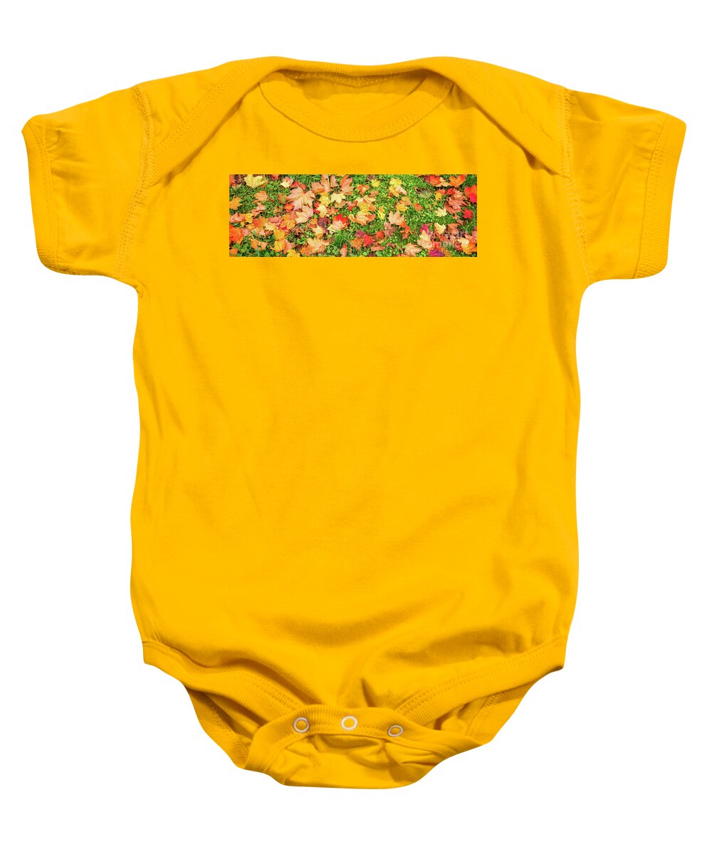 Autumn Baby Onesie featuring the photograph Fallen leaves panorama by Delphimages Photo Creations