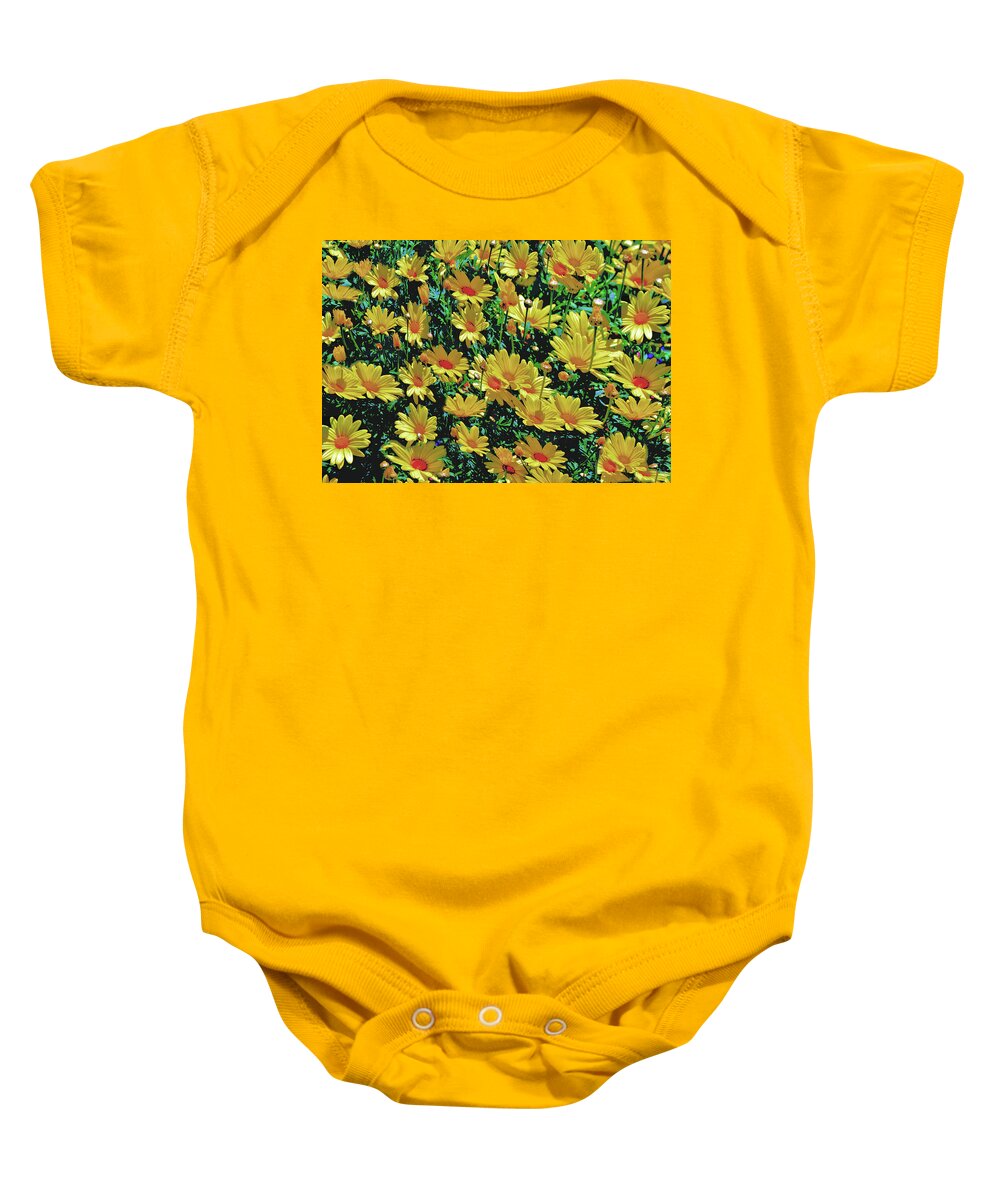 Daisies Baby Onesie featuring the photograph Field of Yellow by Debra Kewley