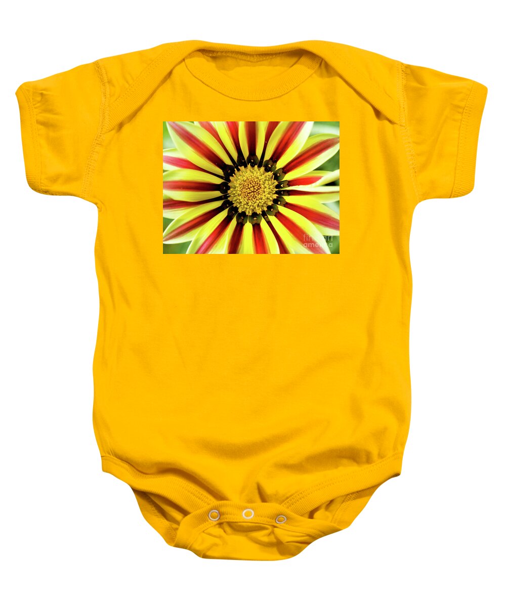 Color Baby Onesie featuring the photograph Gazania Center by Dorothy Lee