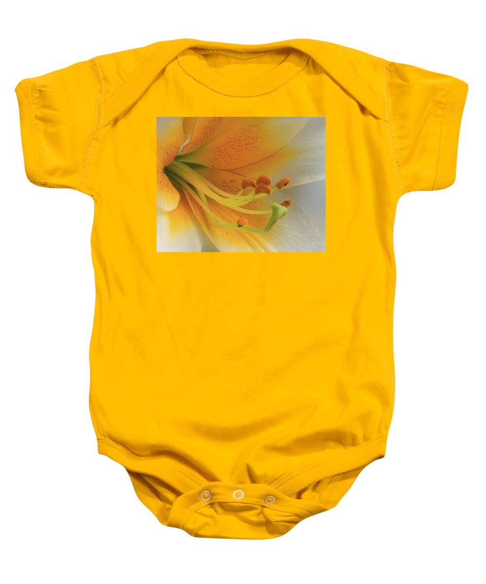 Daylily Baby Onesie featuring the photograph Gold Daylily Close-up by Patti Deters