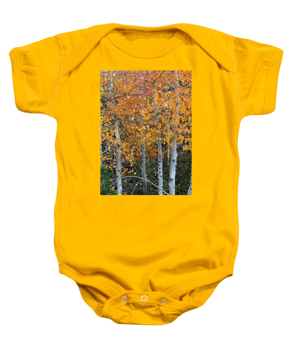 North America Baby Onesie featuring the photograph Golden Aspens of Sonora Pass by Mark Miller