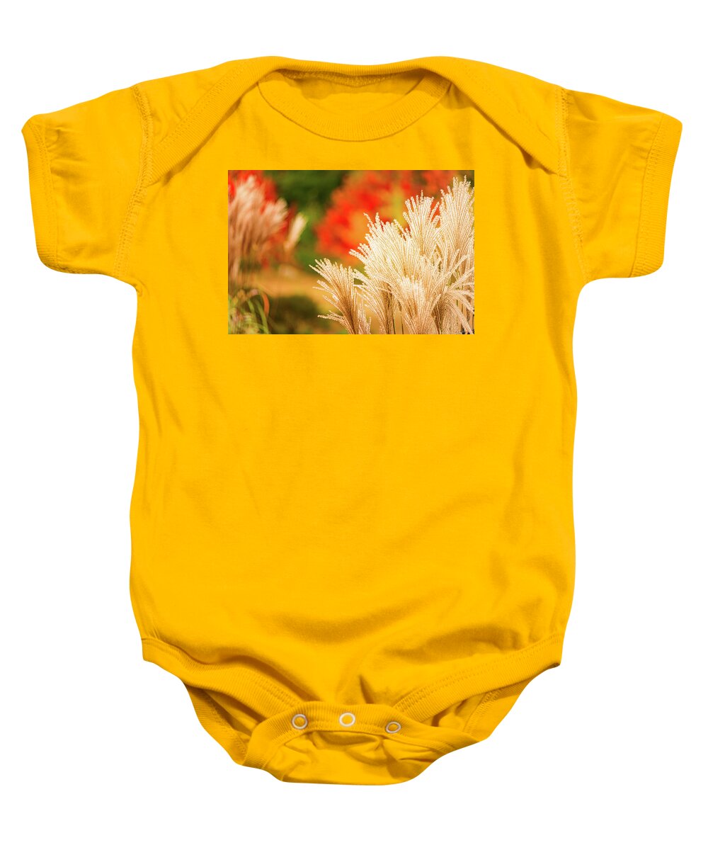 New Hampshire Baby Onesie featuring the photograph Golden Autumn Grass by Jeff Sinon