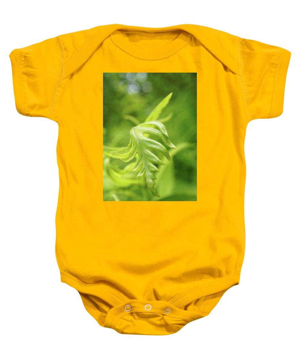 Green Baby Onesie featuring the photograph Green fern leaves by Lilia S