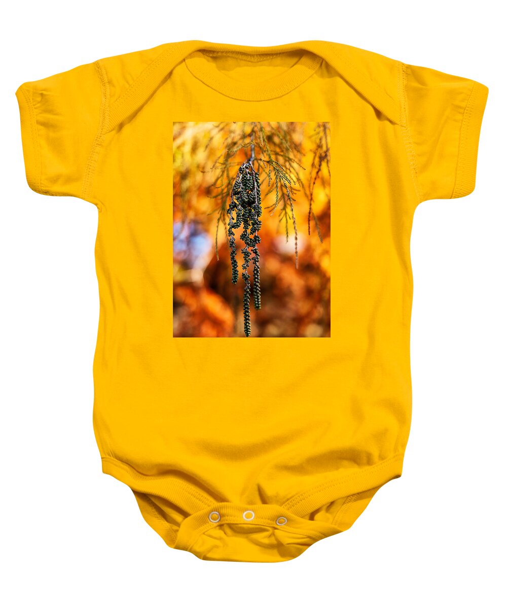 Leaves Baby Onesie featuring the photograph Hanging Green Berries in Autumn by Stuart Litoff