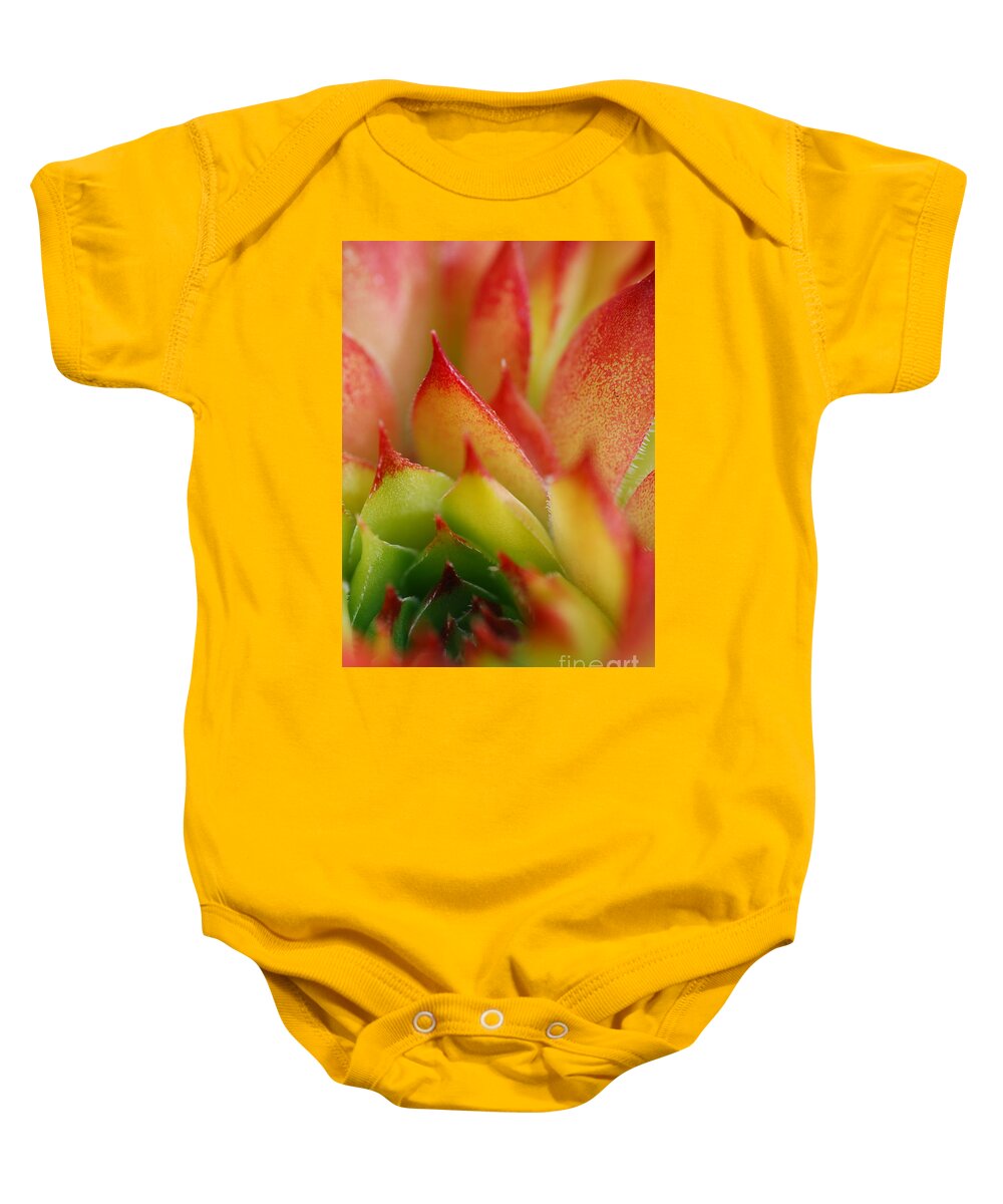 Hens And Chicks Baby Onesie featuring the photograph Hens And Chicks #2 by Stephanie Gambini