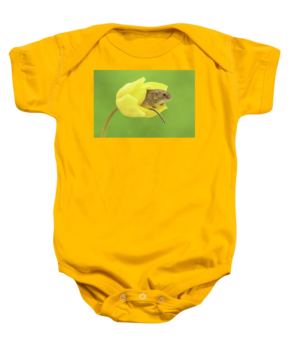 Harvest Baby Onesie featuring the photograph HMYulips-7666 by Miles Herbert