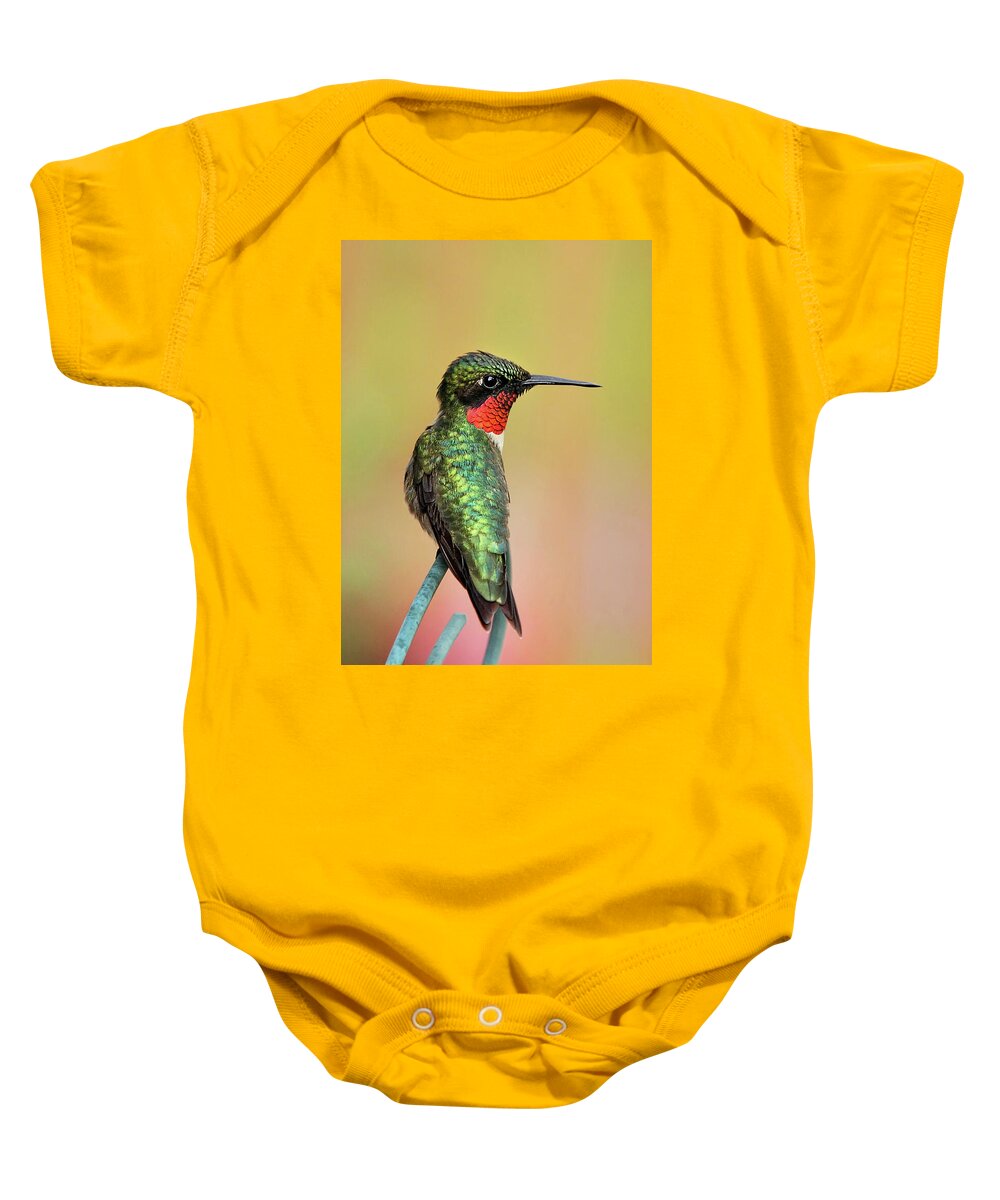Hummingbird Baby Onesie featuring the photograph Hummingbird Love by Christina Rollo