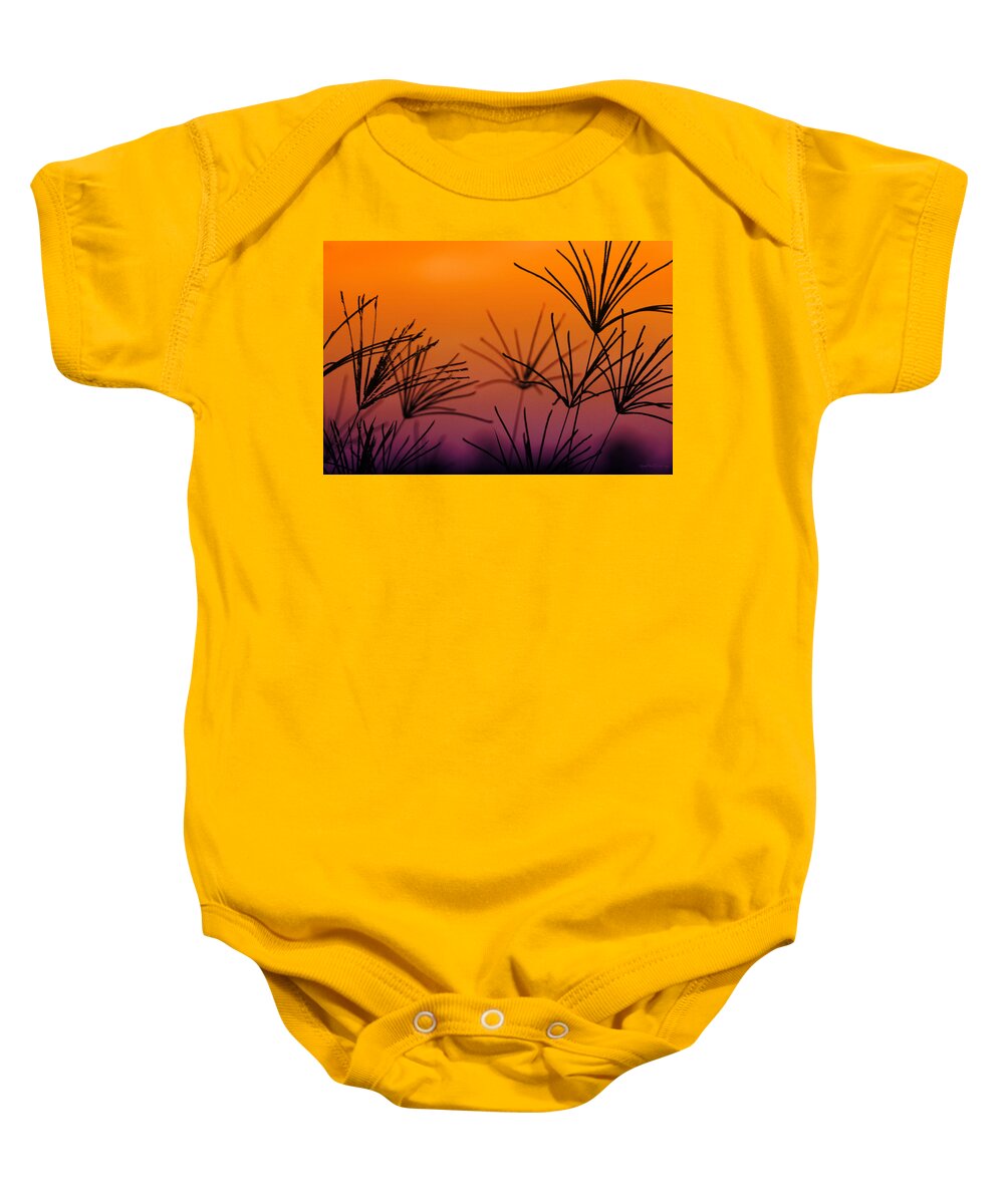 Nature Baby Onesie featuring the photograph I Love a Sunburnt Country by Holly Kempe