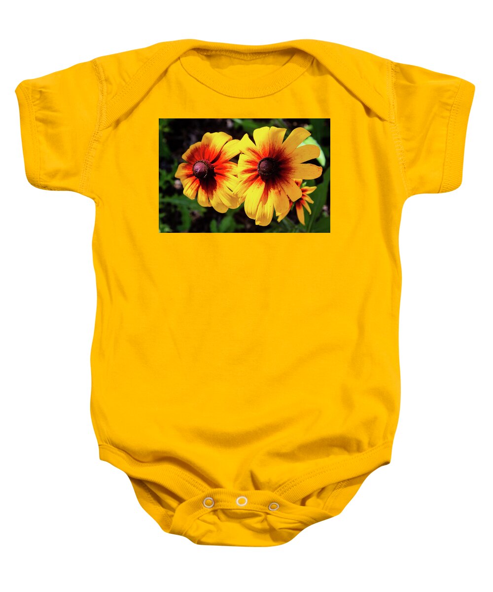Blanket Flower Baby Onesie featuring the photograph Indian Blanket Flowers by Aashish Vaidya