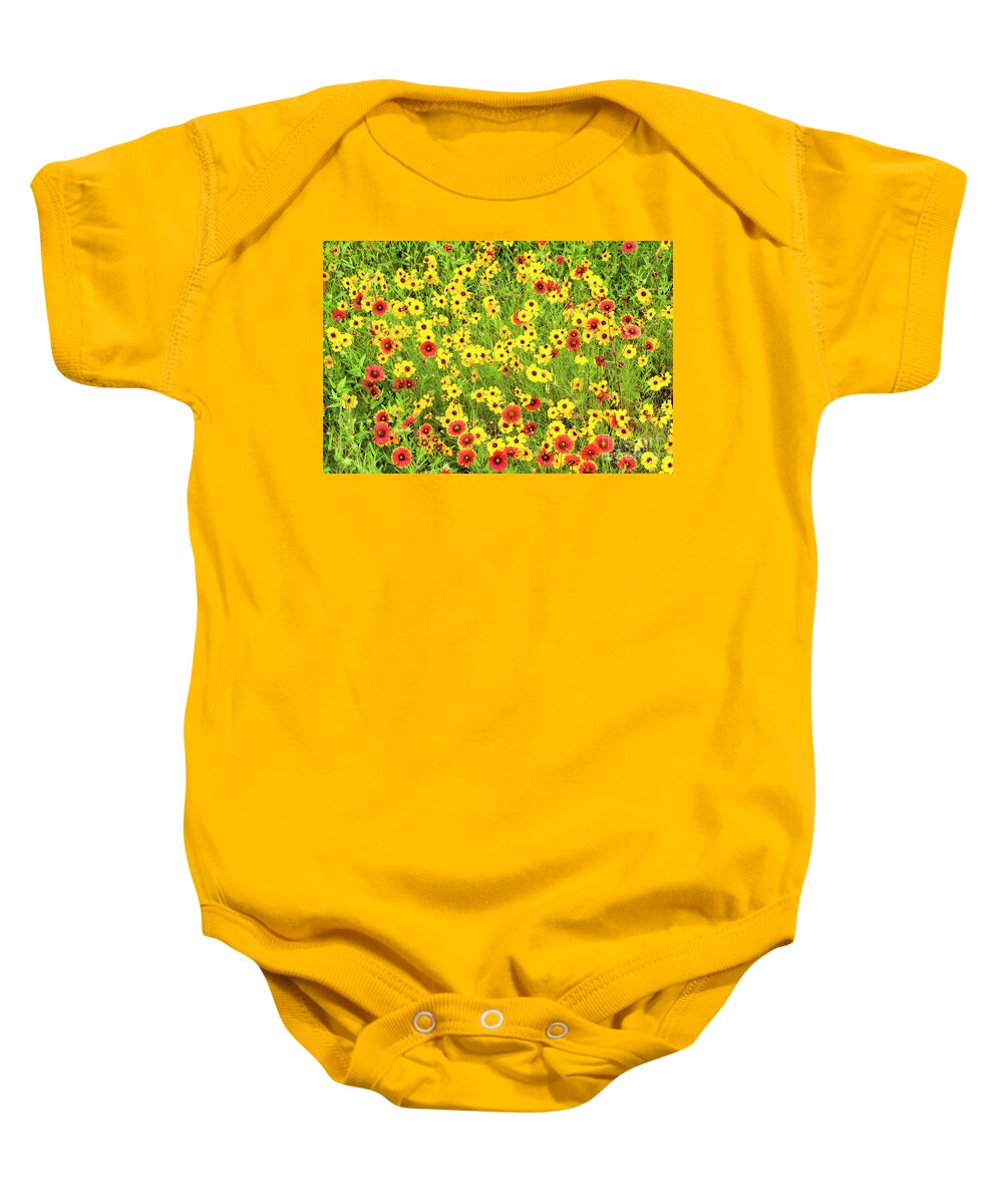 Dave Welling Baby Onesie featuring the photograph Indian Blanketflowers And Coreopsis Texas by Dave Welling
