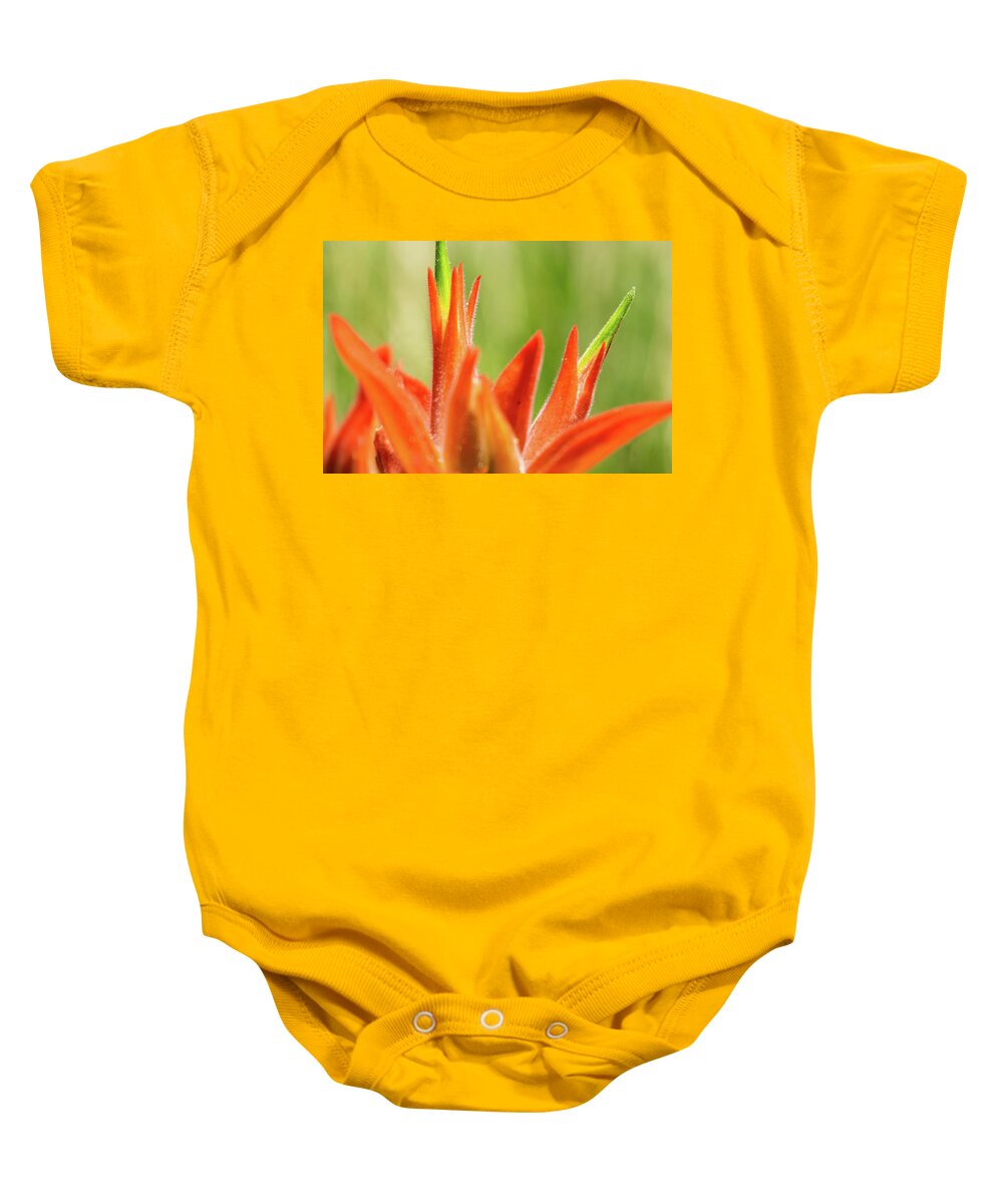 Indian Paintbrush Baby Onesie featuring the photograph Indian Paintbrush by Bonny Puckett
