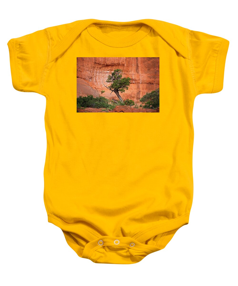 Alone Baby Onesie featuring the photograph Juniper Against Rock Wall by David Desautel
