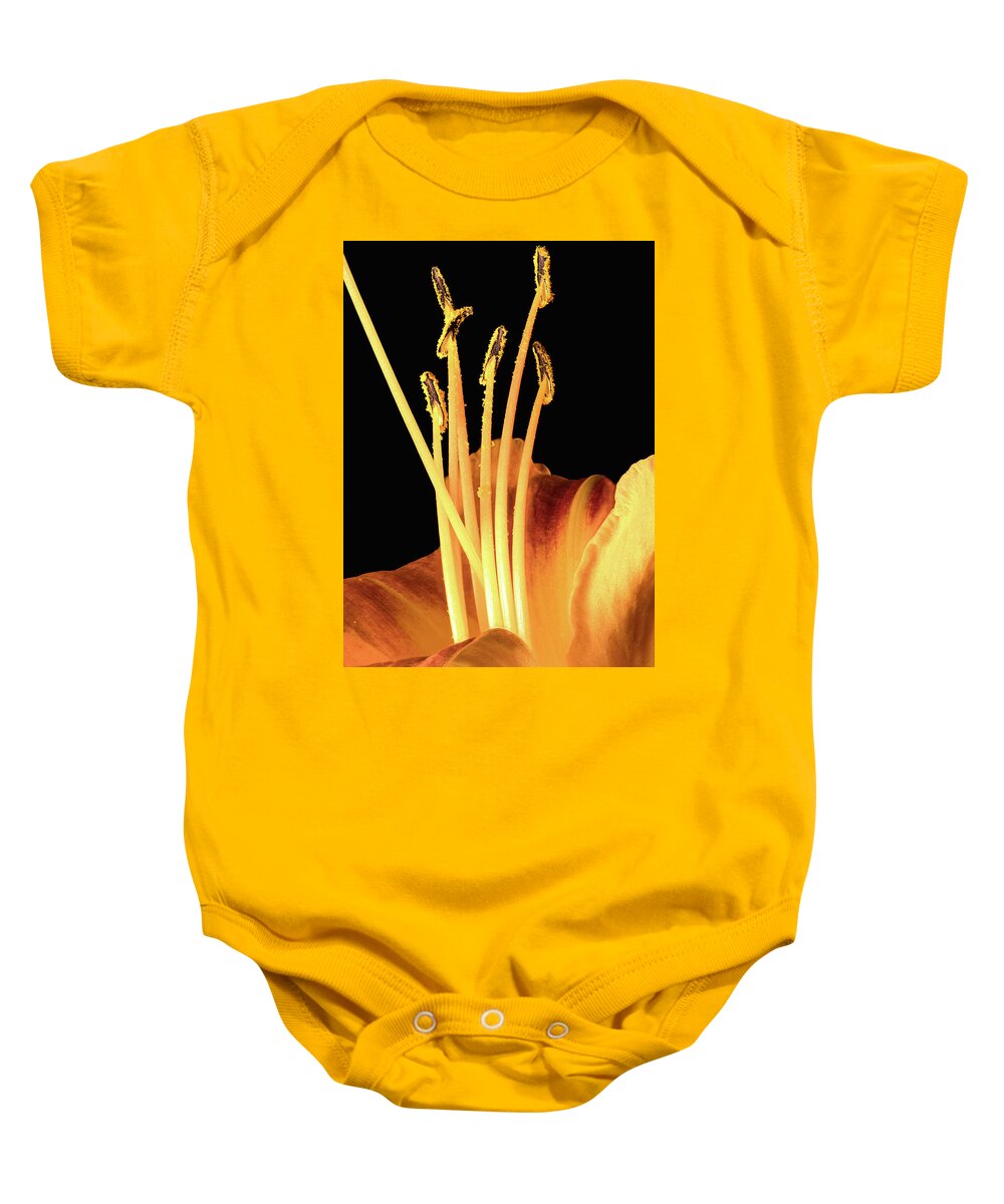 Orange Baby Onesie featuring the photograph Lily Detail by Steven Nelson
