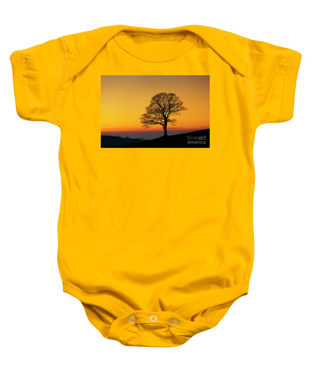 One Baby Onesie featuring the photograph Lone winter tree at Sunset by Neale And Judith Clark