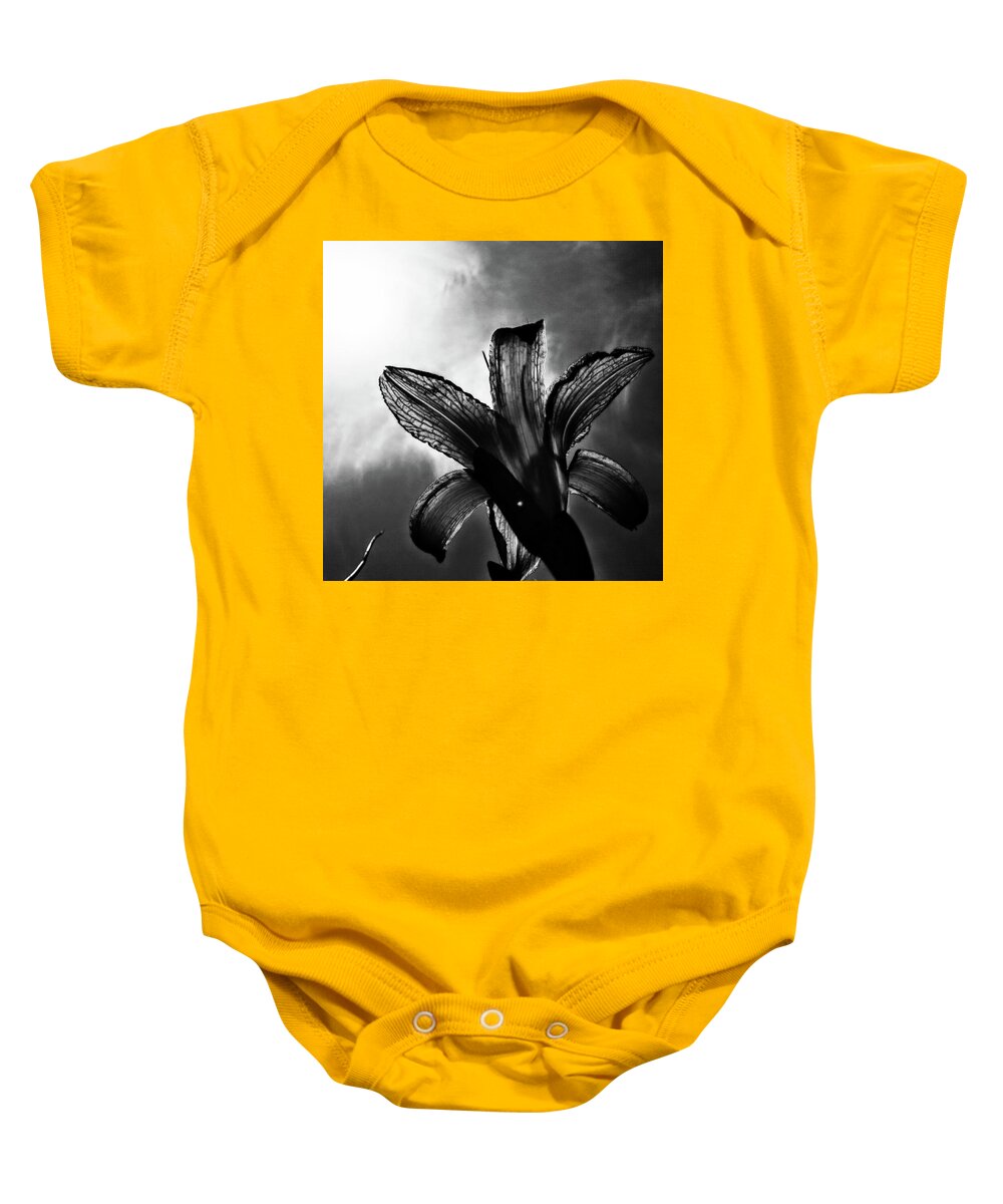 Daylily Silhouette Baby Onesie featuring the digital art Looking Up by Pamela Smale Williams