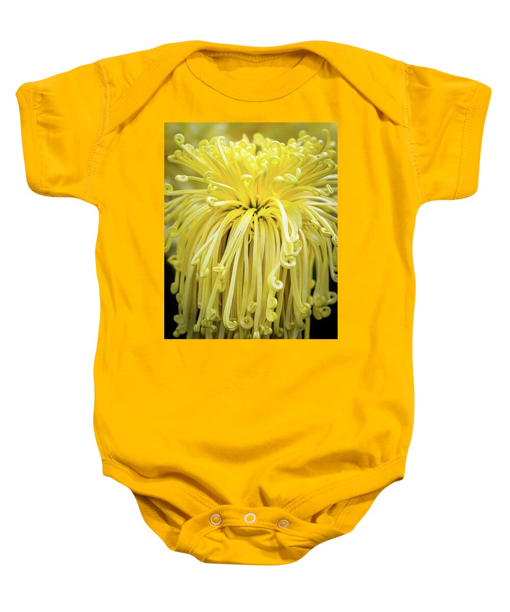 Chrysantemum Baby Onesie featuring the photograph Lovely Curls by Elvira Peretsman