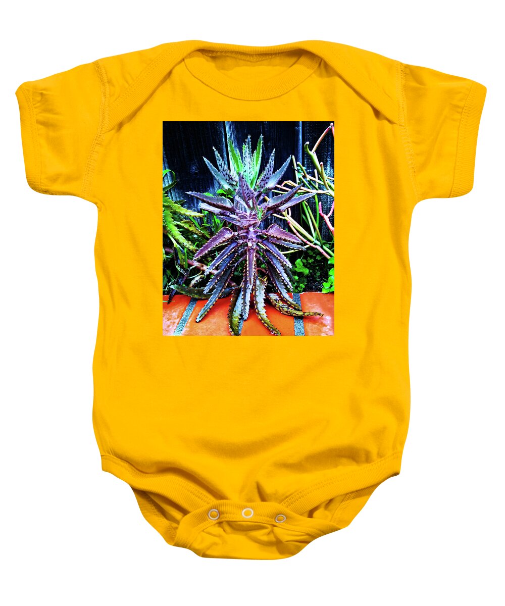 Plant. Cactus Baby Onesie featuring the photograph Octopus Plant by Andrew Lawrence