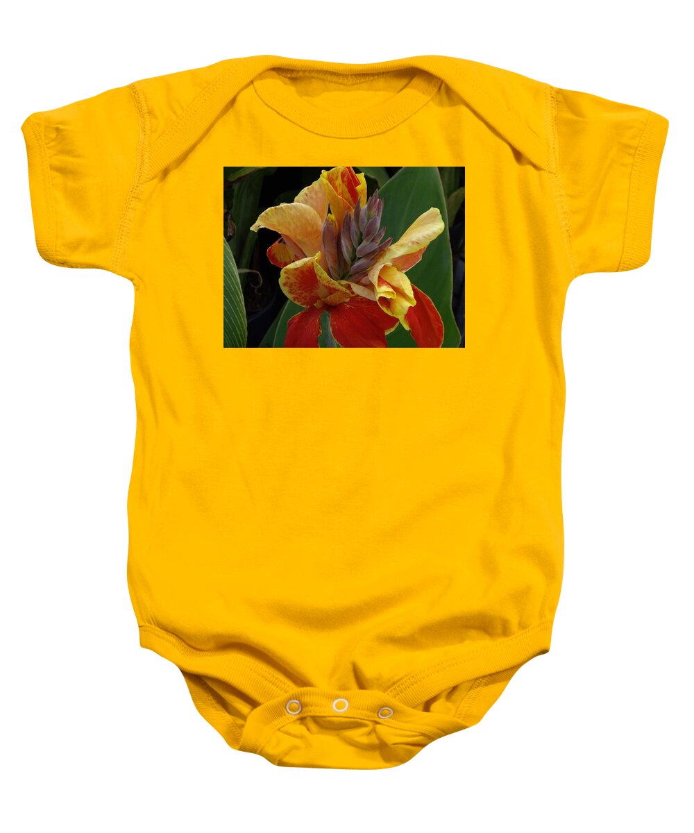 Canna Lily Baby Onesie featuring the photograph Orange and Gold Canna by Nancy Ayanna Wyatt