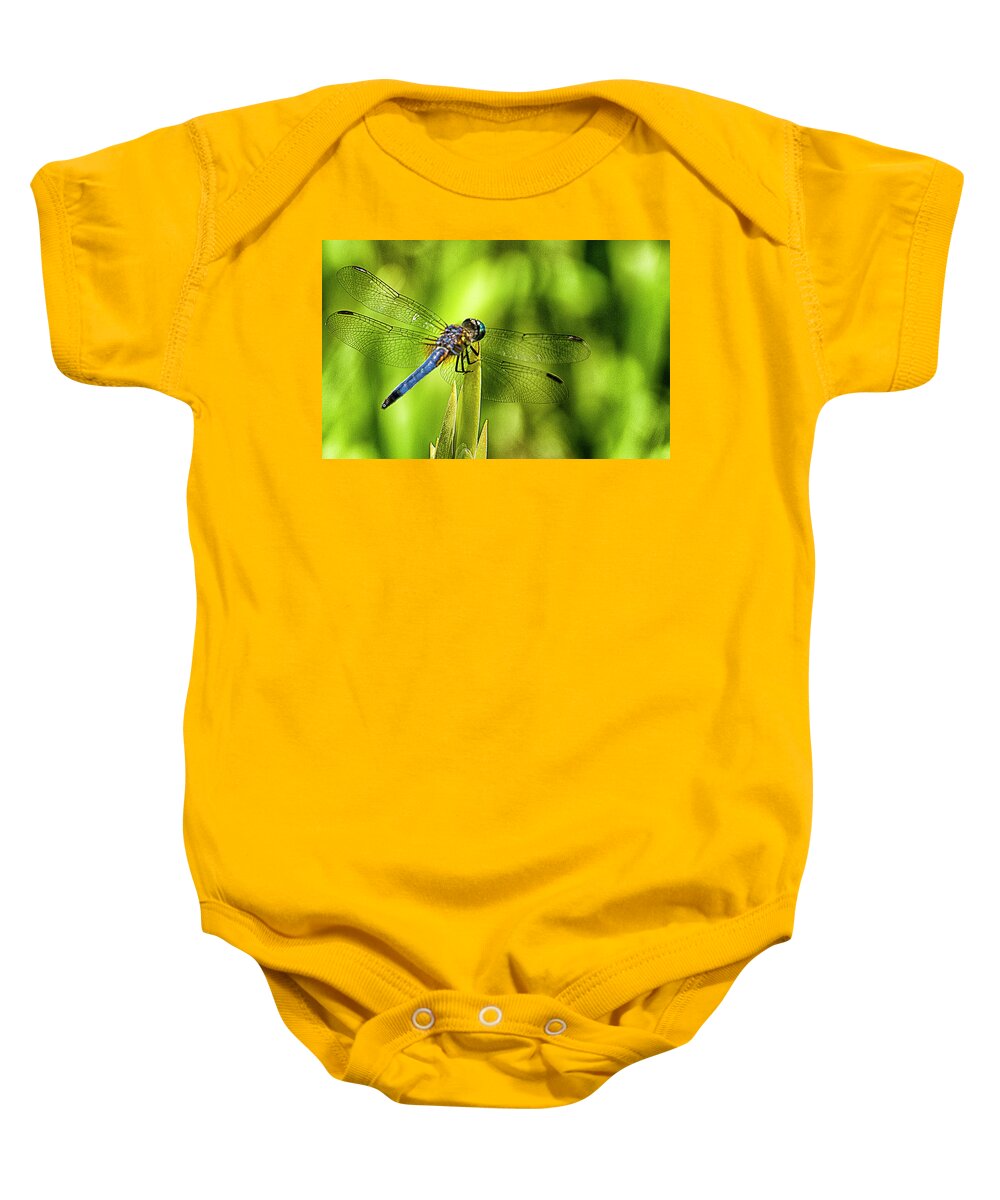 Dragonfly Baby Onesie featuring the photograph Pensive Dragon by Bill Barber