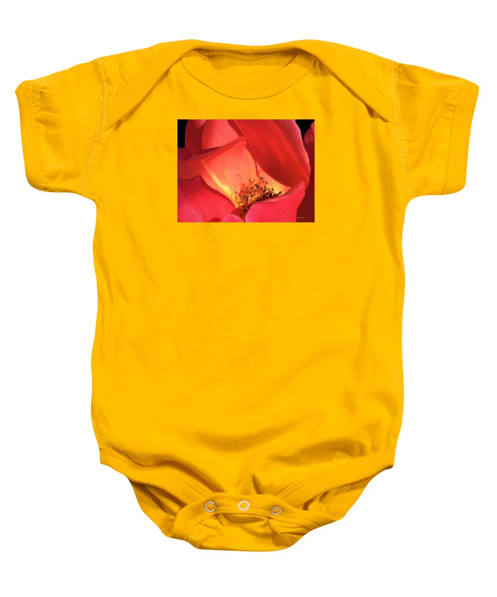 Rose Baby Onesie featuring the photograph Petals Aflame by Angela Davies