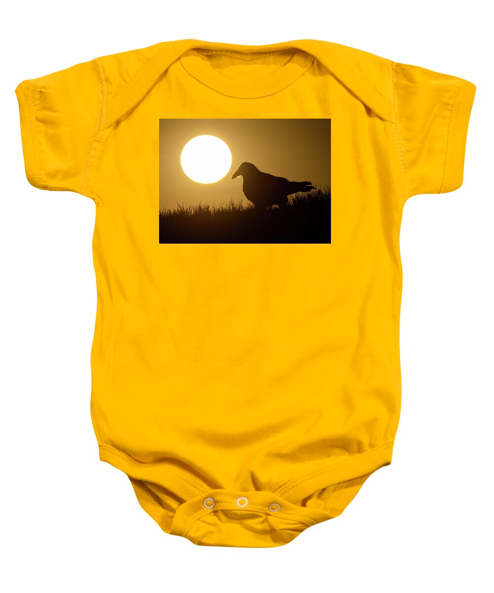 Common Raven Baby Onesie featuring the photograph Raven Sunrise by Max Waugh