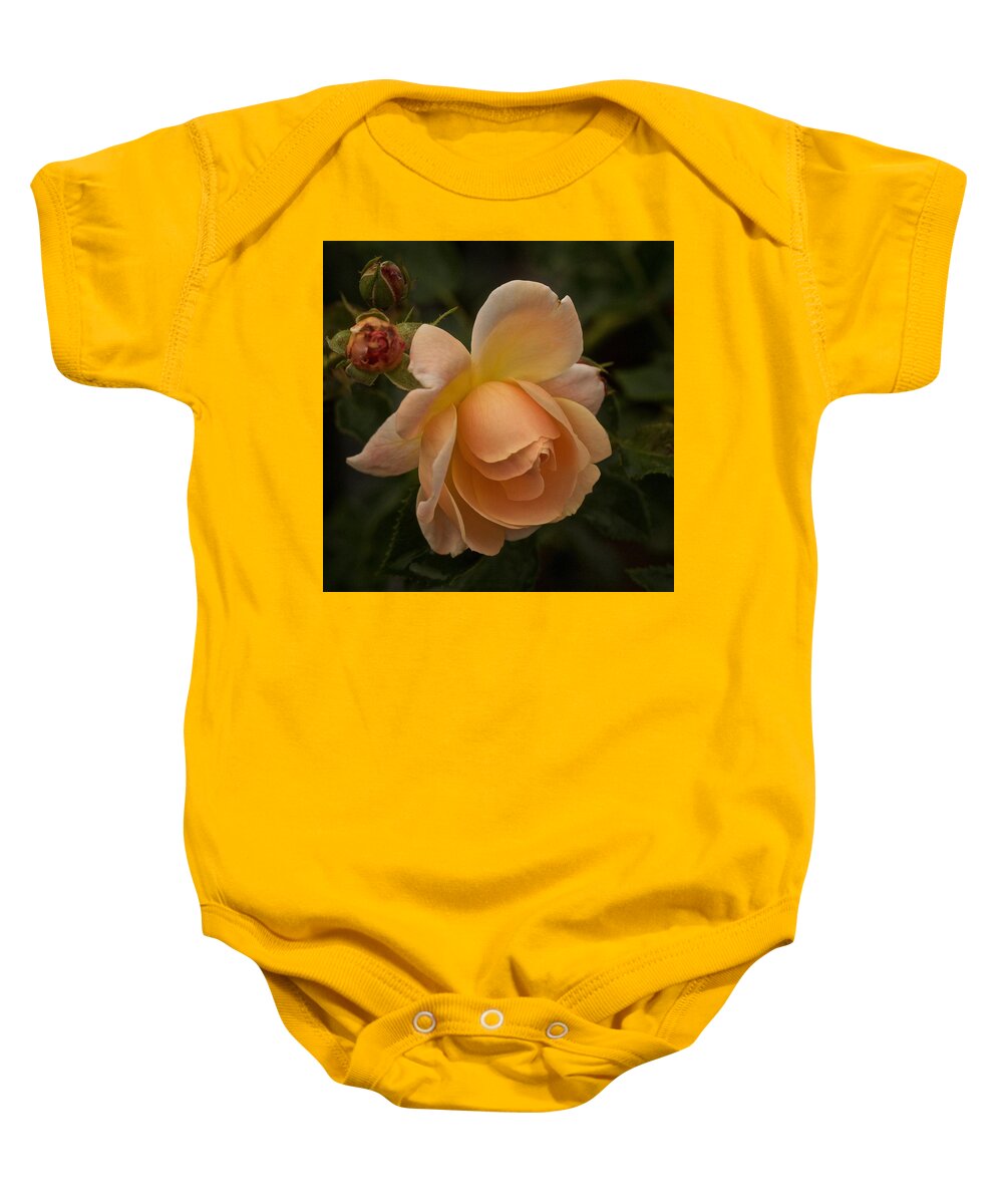Rose Baby Onesie featuring the photograph Rose Singularity by Richard Cummings