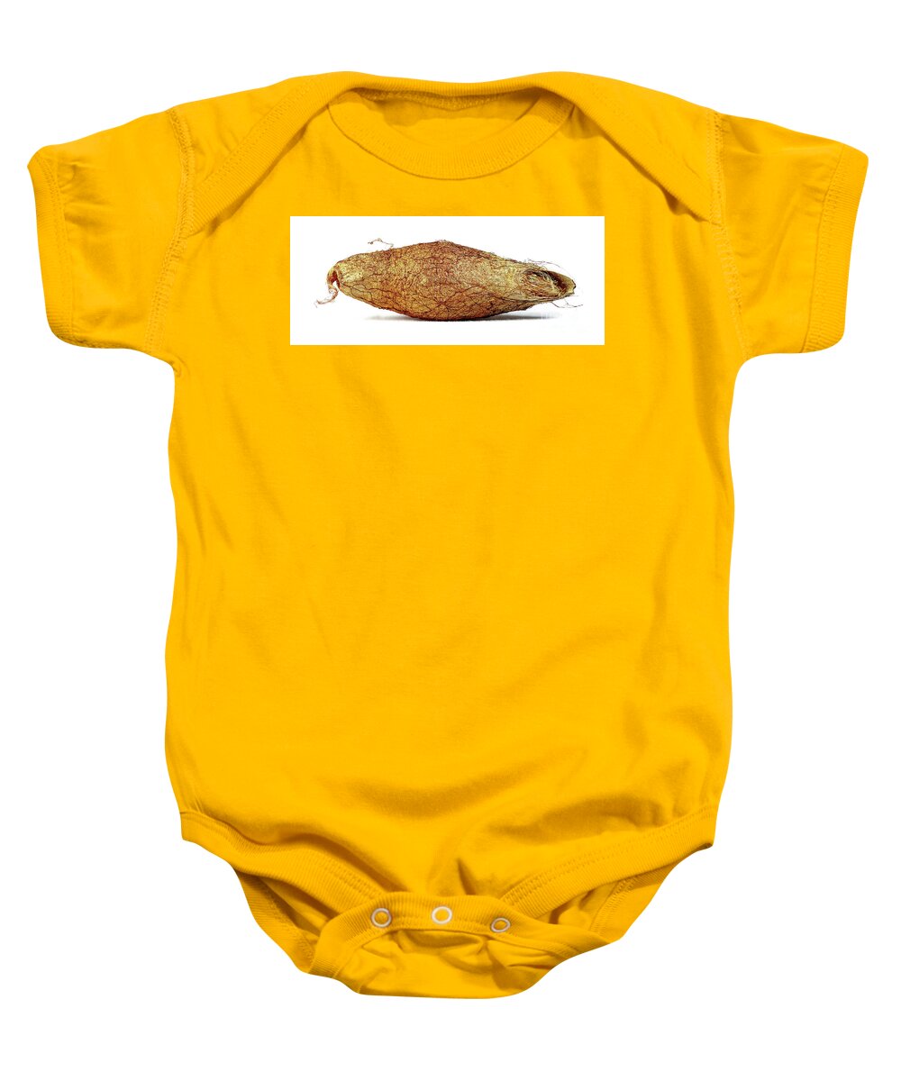 Rothschildia Baby Onesie featuring the photograph Rothschildia Lebeau by Frederic Bourrigaud