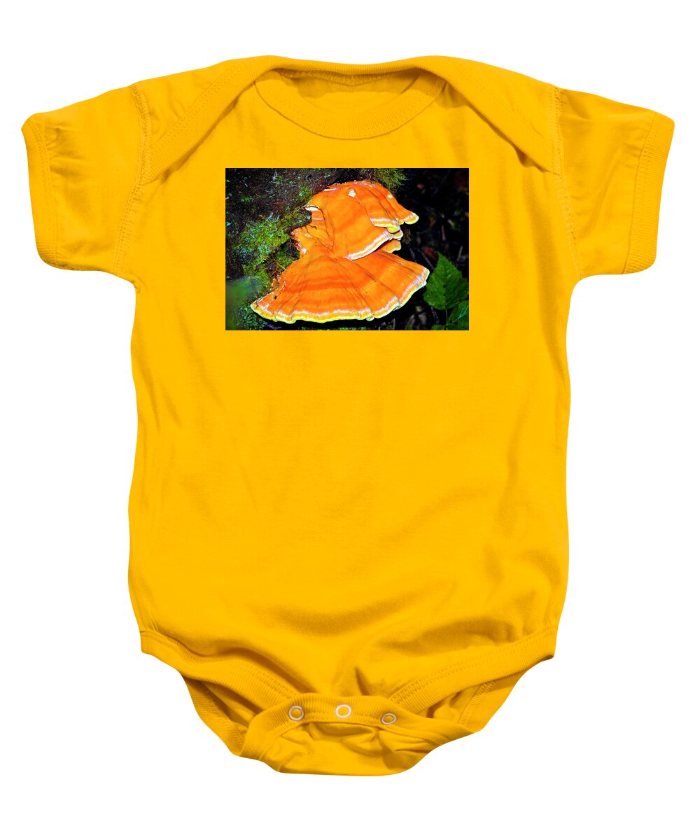 Ruby Beach Fungus Baby Onesie featuring the photograph Ruby Beach Fungus by Greg Reed