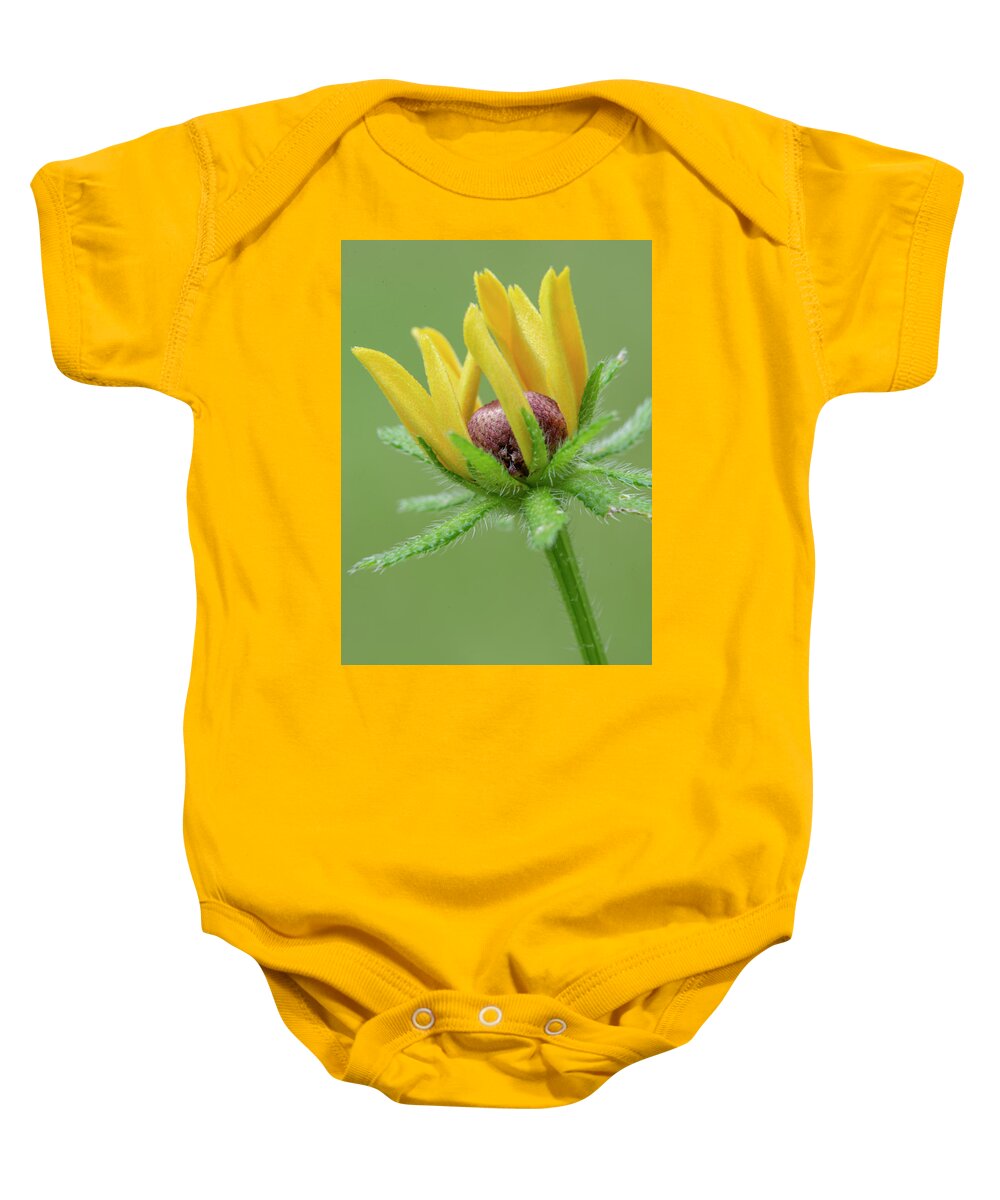 Bloom Baby Onesie featuring the photograph Rudbekia Opening by Phil And Karen Rispin