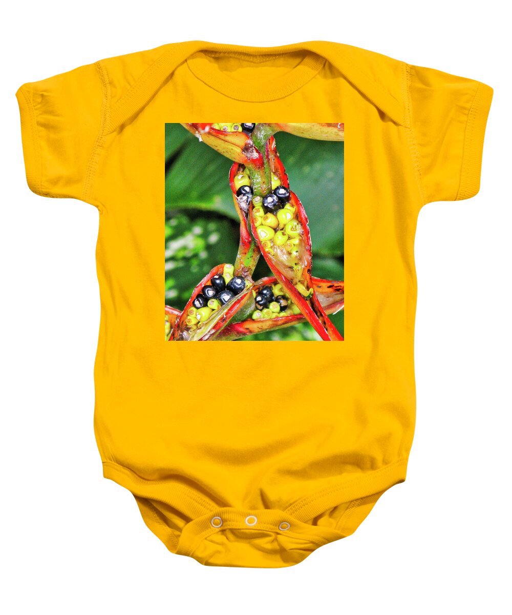 Flora Baby Onesie featuring the photograph Seed pods by Segura Shaw Photography