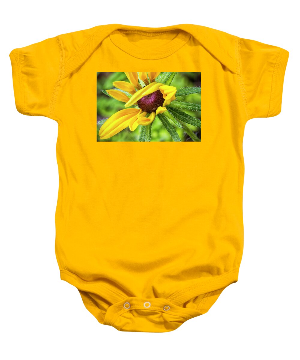 Blackeyed Baby Onesie featuring the photograph Shy Susan of the Croatan by Bob Decker