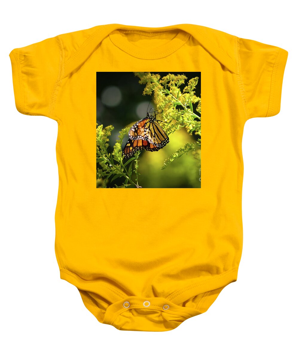 Monarch Butterfly Baby Onesie featuring the photograph Summer Sojourn by Rehna George