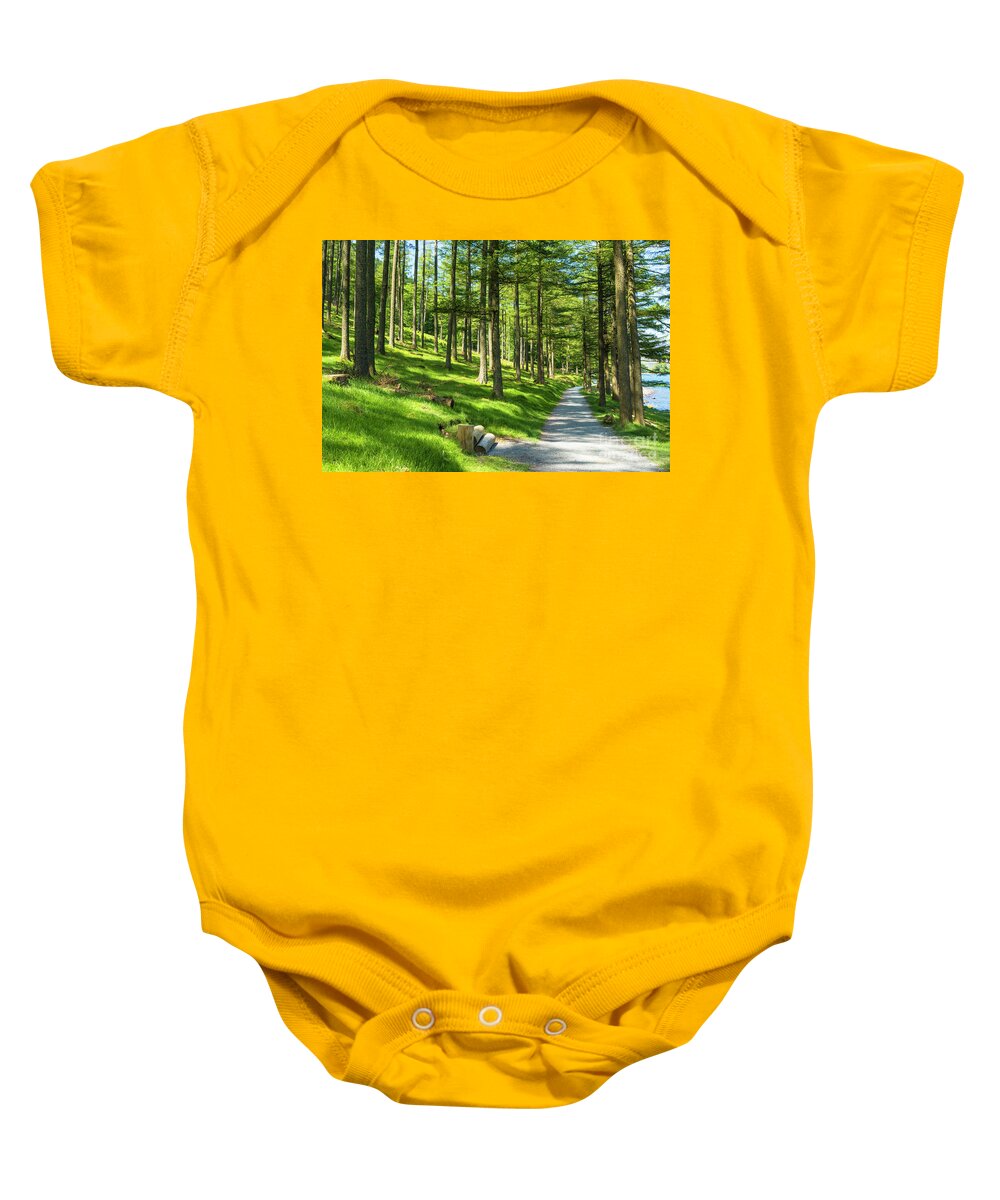 Cumbria Baby Onesie featuring the photograph Sunlight through Burtness Wood, English Lake District by Neale And Judith Clark