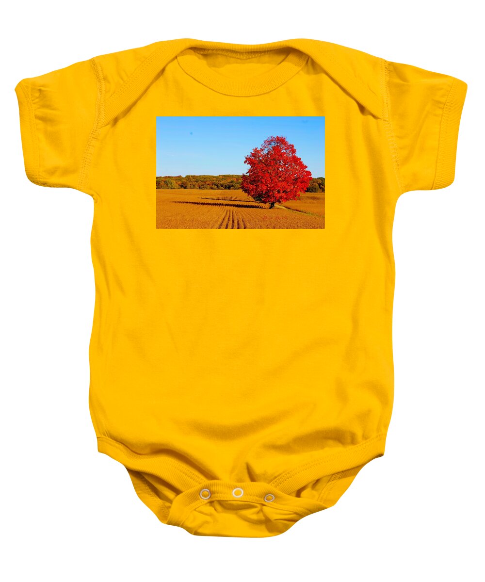 Autumn Baby Onesie featuring the photograph Tree on Fire by Donna Martin