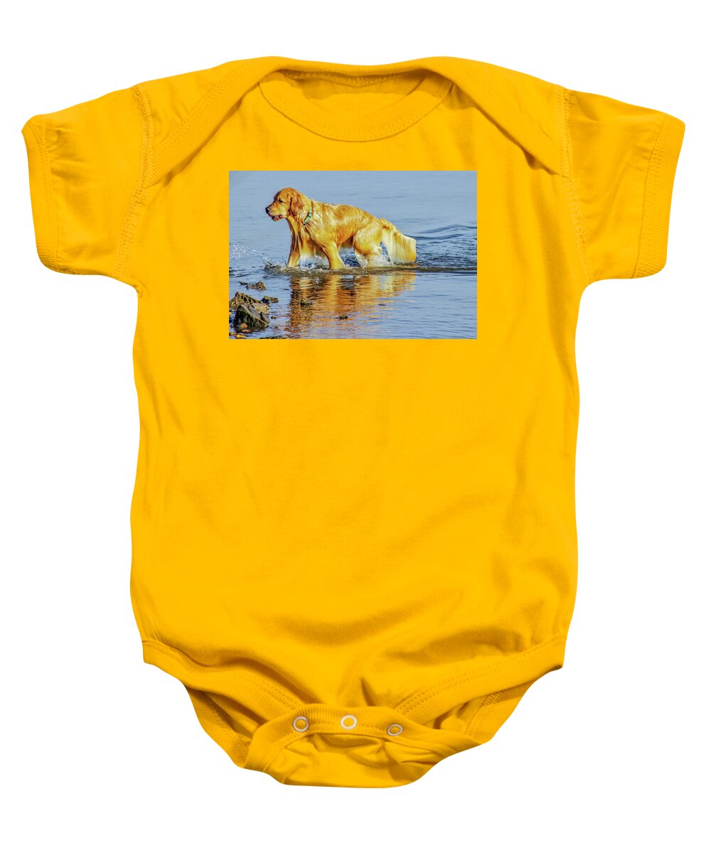 Dog Baby Onesie featuring the photograph Water Dog by Addison Likins
