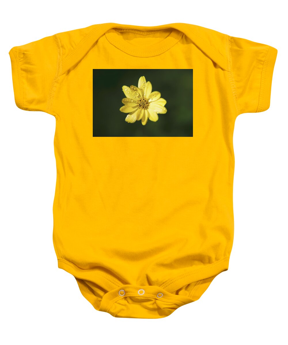 Flowers Baby Onesie featuring the photograph Wishing You a Sunshiny Day by Laurie Search