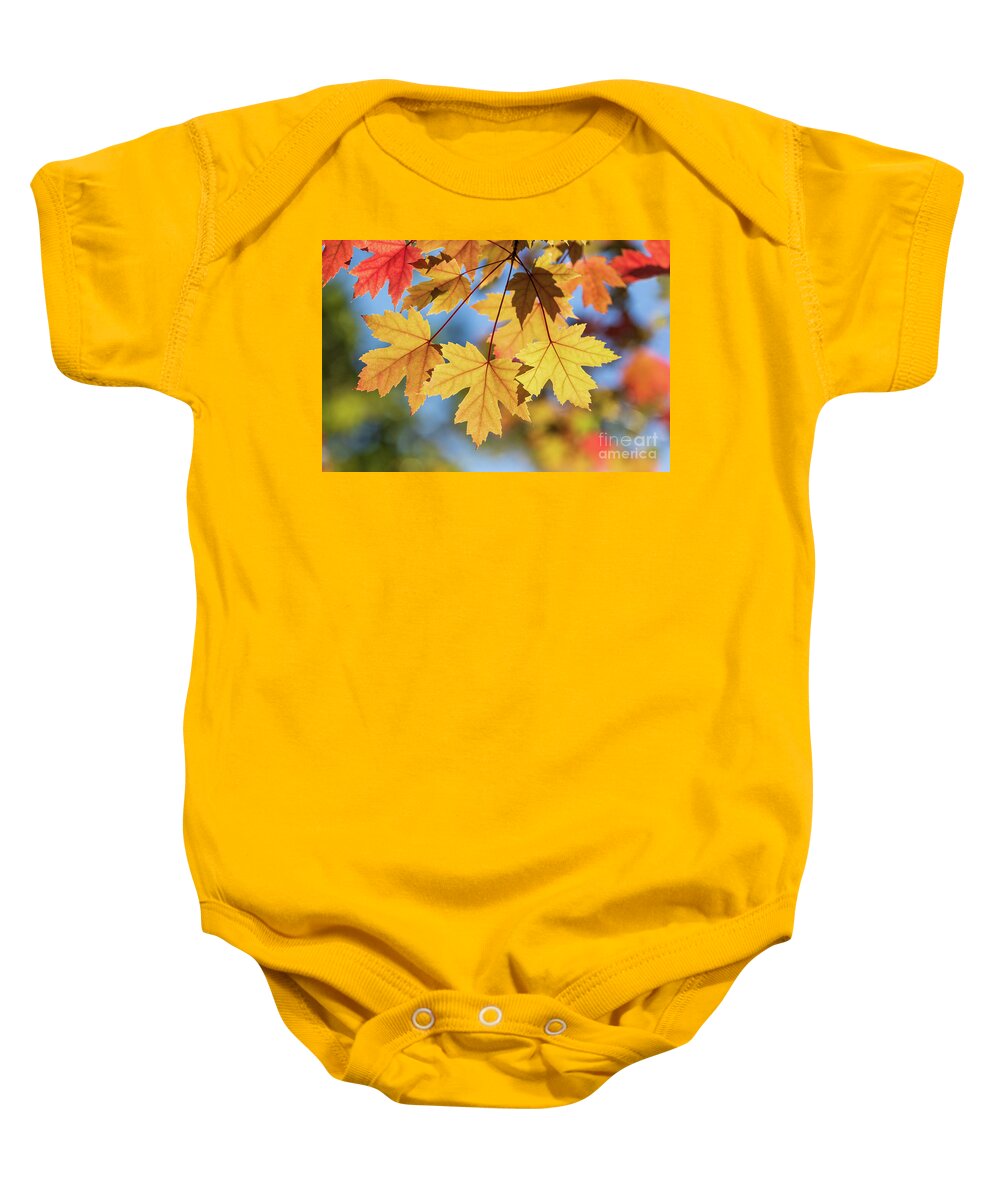 Fall Leaves Baby Onesie featuring the photograph Yellow Fall Leaves by Mimi Ditchie