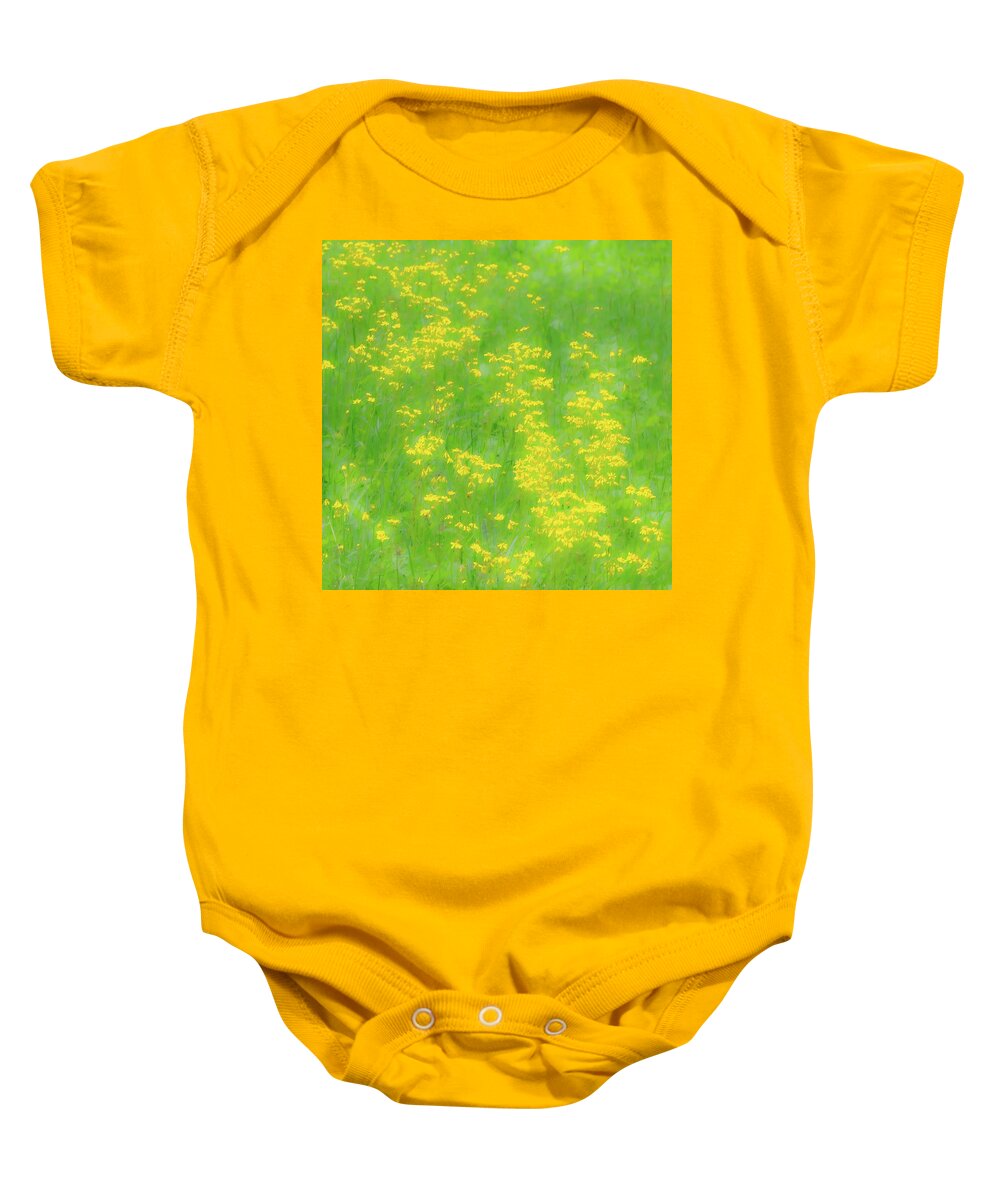 Mountains Baby Onesie featuring the photograph Yellow Flowers Green Grass fx 503 by Dan Carmichael