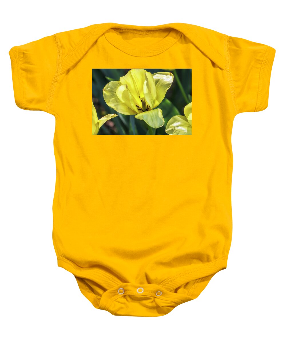 Yellow Tulip Baby Onesie featuring the photograph Yellow Tulip by Belinda Greb