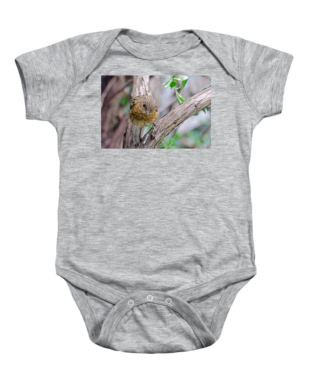 Baby Robin Baby Onesie featuring the photograph Baby Robin #1 by Tony Murtagh