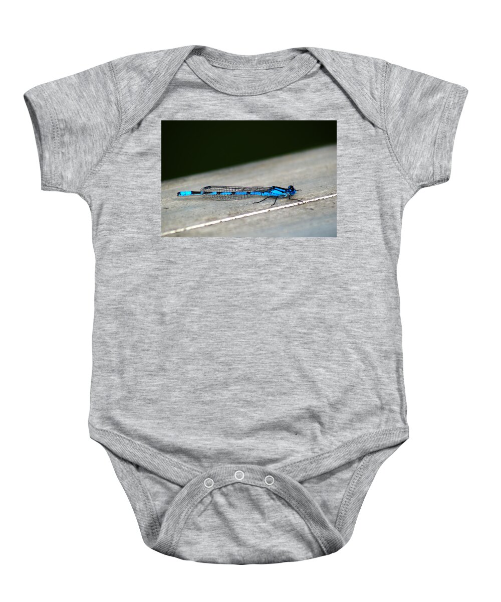 Damselfly Baby Onesie featuring the photograph Blue Damselfly #1 by Chris Day