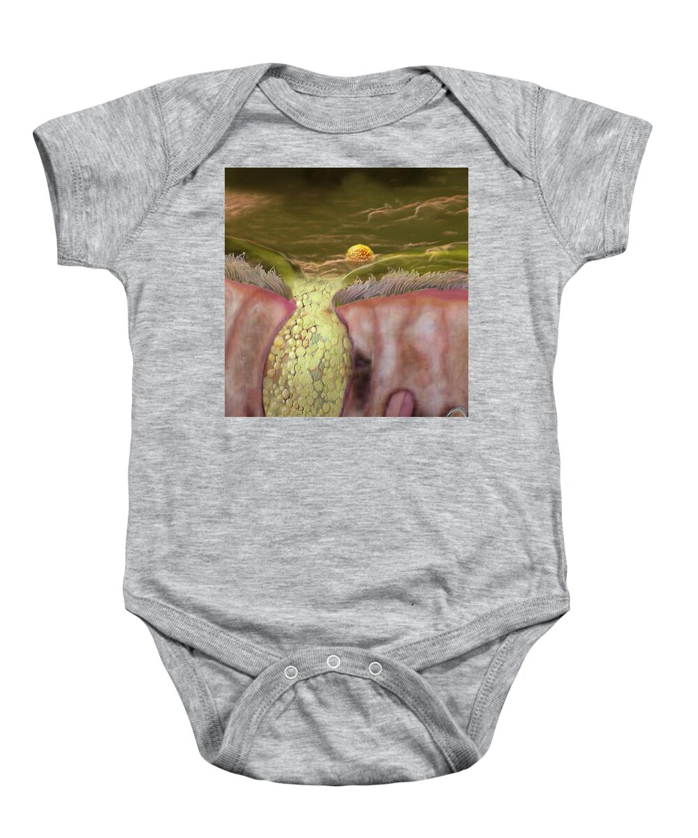 Anatomical Illustration Baby Onesie featuring the photograph Immune System #1 by Anatomical Travelogue